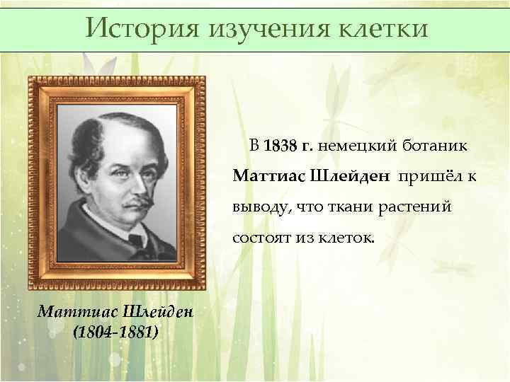 История изучения клетки В 1838 г. немецкий ботаник Маттиас Шлейден пришёл к выводу, что