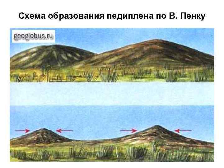 Схема образования педиплена по В. Пенку 