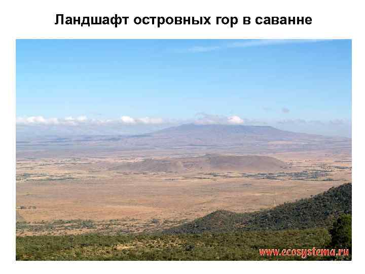 Ландшафт островных гор в саванне 