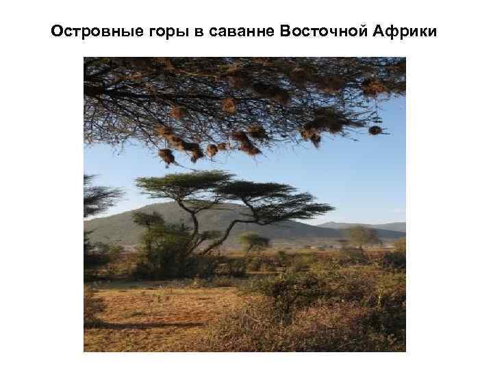 Островные горы в саванне Восточной Африки 