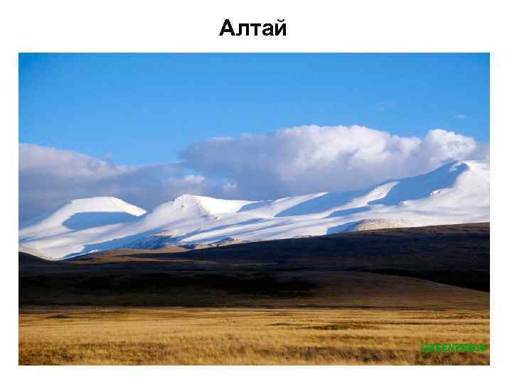 Алтай 