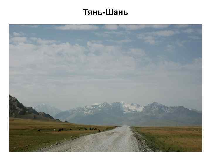 Тянь-Шань 