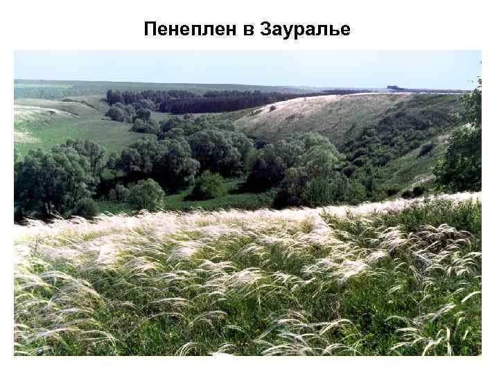 Пенеплен в Зауралье 