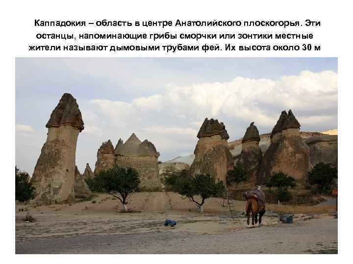 Каппадокия – область в центре Анатолийского плоскогорья. Эти останцы, напоминающие грибы сморчки или зонтики