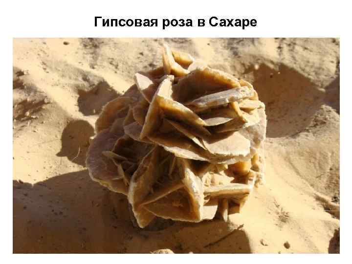 Гипсовая роза в Сахаре 