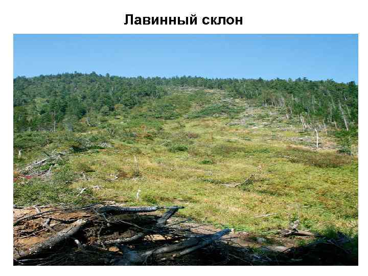 Лавинный склон 