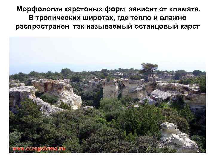 Морфология карстовых форм зависит от климата. В тропических широтах, где тепло и влажно распространен