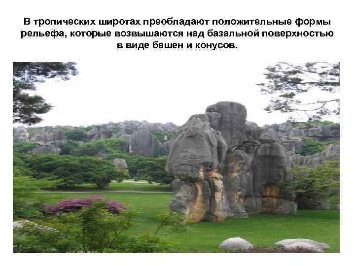 В тропических широтах преобладают положительные формы рельефа, которые возвышаются над базальной поверхностью в виде