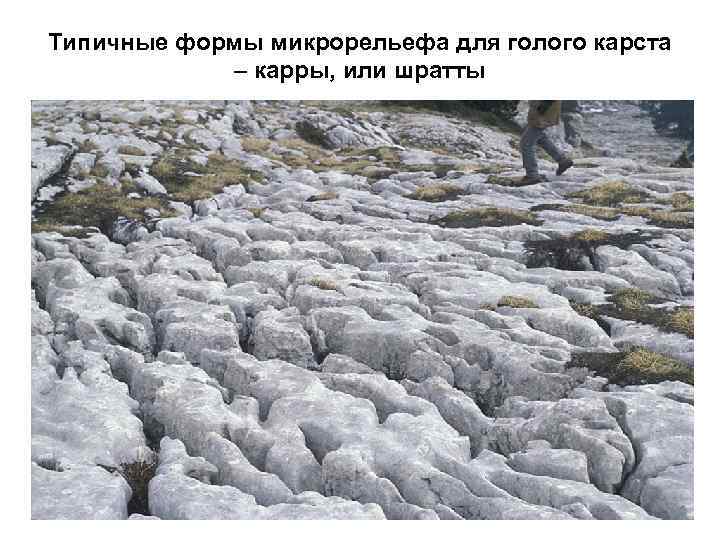 Типичные формы микрорельефа для голого карста – карры, или шратты 