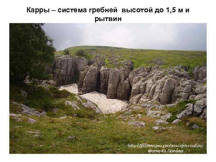 Карры – система гребней высотой до 1, 5 м и рытвин 