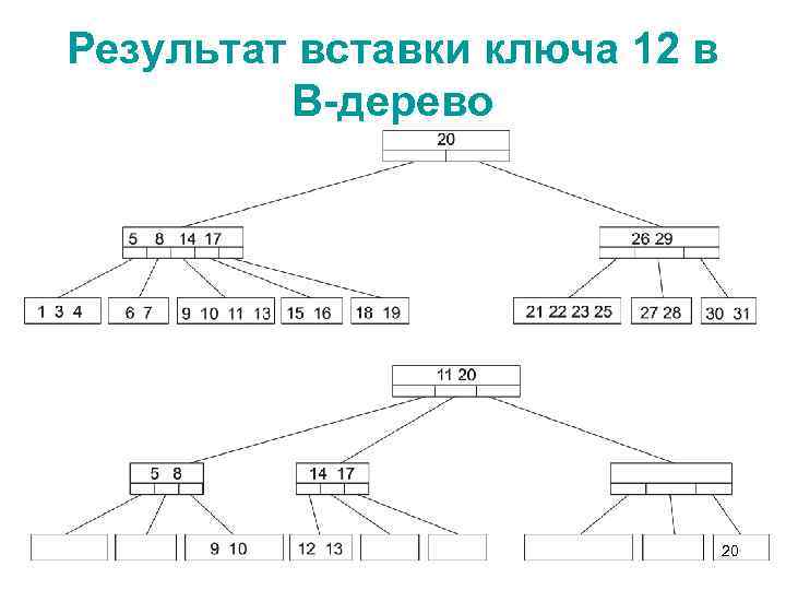 Результат вставки ключа 12 в В-дерево 20 