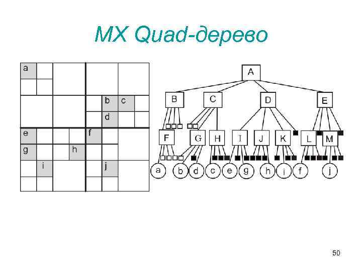 MX Quad-дерево 50 