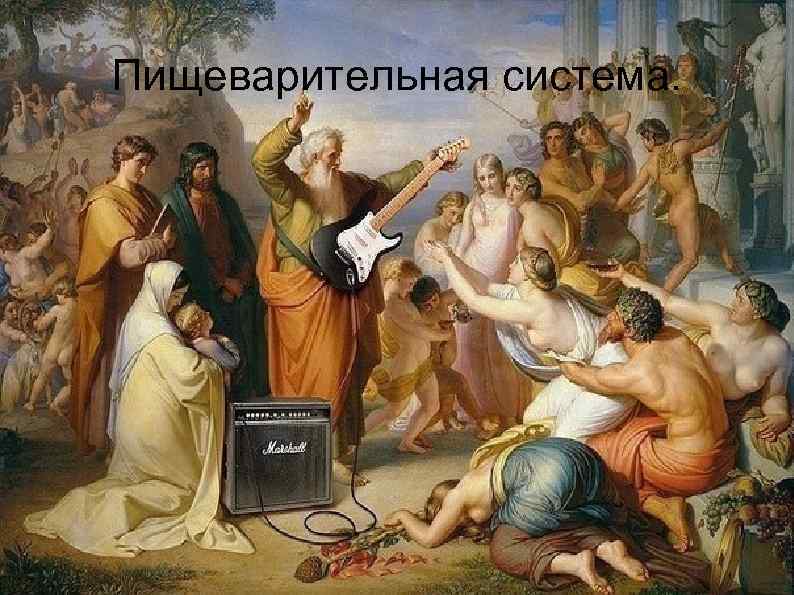 Пищеварительная система. 