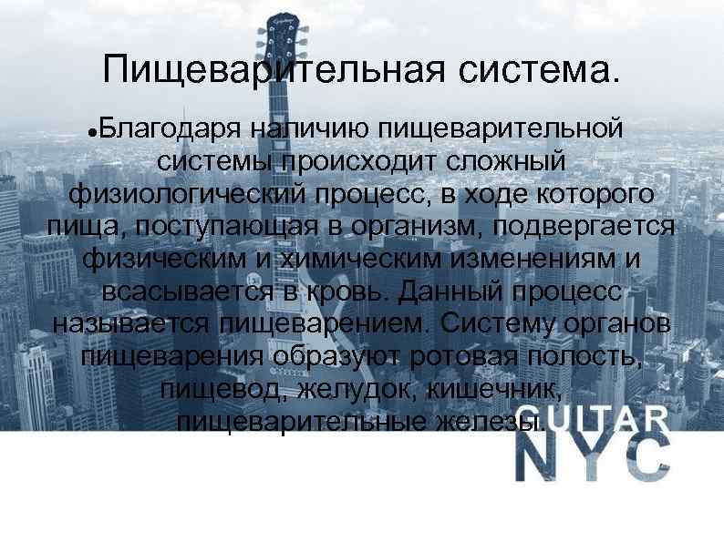 Пищеварительная система. Благодаря наличию пищеварительной системы происходит сложный физиологический процесс, в ходе которого пища,