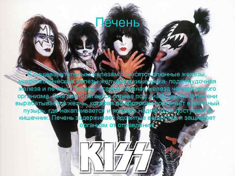 Печень К пищеварительным железам относятся слюнные железы, микроскопические железы желудка и кишечника, поджелудочная железа