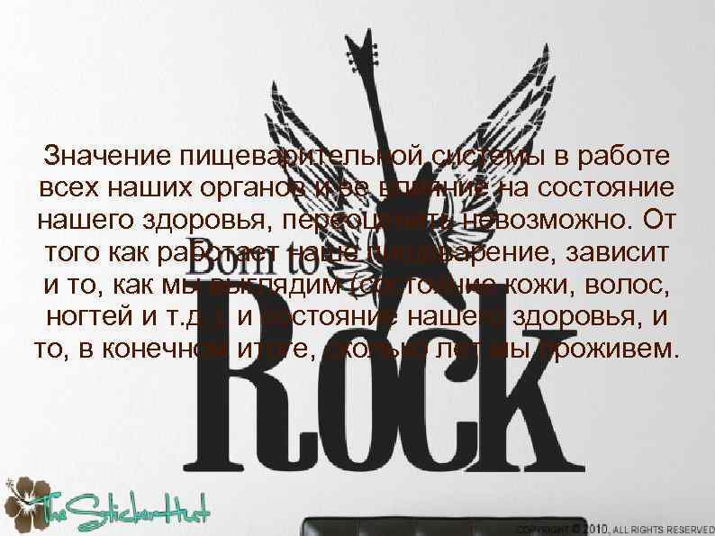 Значение пищеварительной системы в работе всех наших органов и ее влияние на состояние нашего