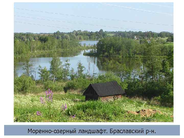 Моренно-озерный ландшафт. Браславский р-н. 