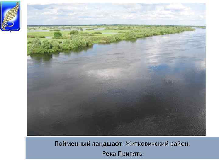 Пойменный ландшафт. Житковичский район. Река Припять 