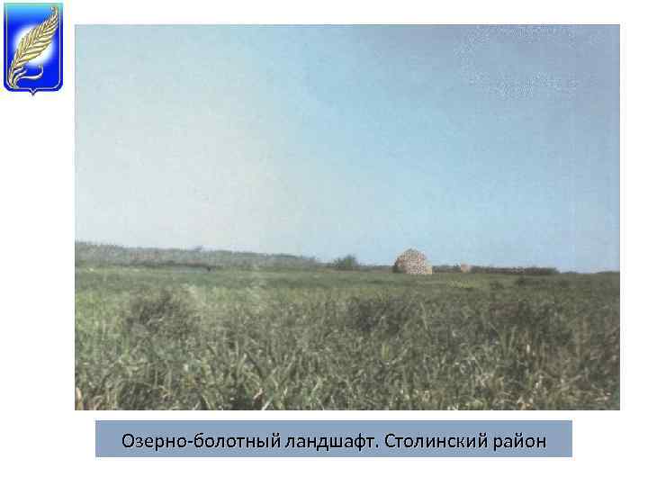 Озерно-болотный ландшафт. Столинский район 