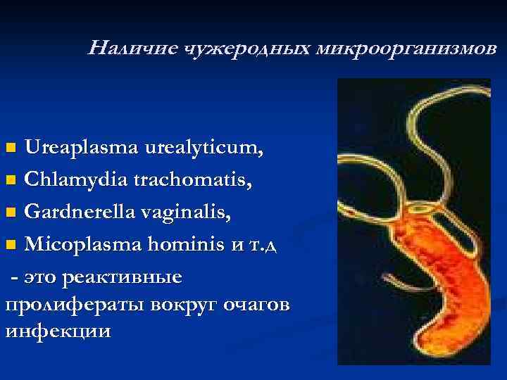 Наличие чужеродных микроорганизмов Ureaplasma urealyticum, n Chlamydia trachomatis, n Gardnerеlla vaginalis, n Micoplasma hominis