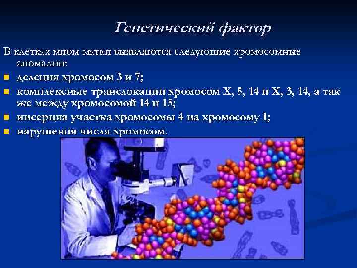 Генетический фактор В клетках миом матки выявляются следующие хромосомные аномалии: n делеция хромосом 3