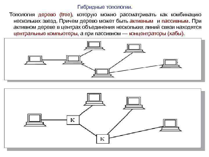 Гибридные топологии. Топология дерево (tree), которую можно рассматривать как комбинацию нескольких звезд. Причем дерево