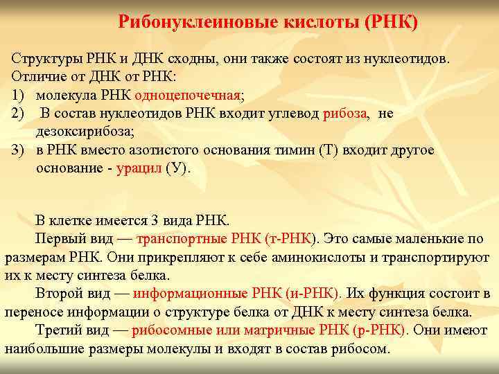 Рибонуклеиновые кислоты (РНК) Структуры РНК и ДНК сходны, они также состоят из нуклеотидов. Отличие