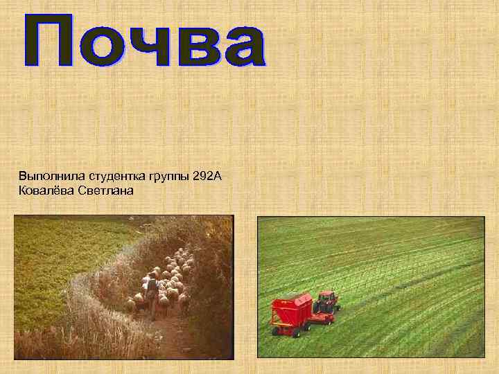 Выполнила студентка группы 292 А Ковалёва Светлана 