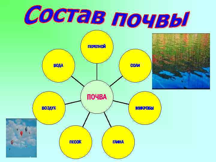 ПЕРЕГНОЙ ВОДА СОЛИ ПОЧВА ВОЗДУХ МИКРОБЫ ПЕСОК ГЛИНА 