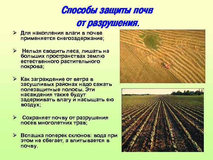 Способы защиты почв от разрушения. Ø Для накопления влаги в почве применяется снегозадержание; Ø