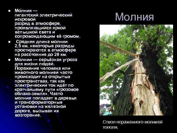 l l l Мо лния — гигантский электрический искровой разряд в атмосфере, проявляющийся яркой