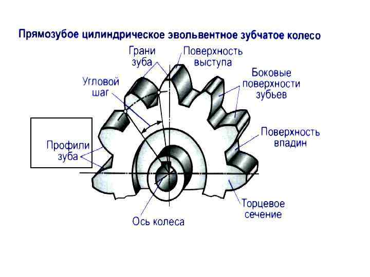 Зубчатая передача картинка