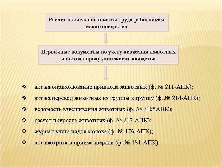 Начислена заработная плата основного производства