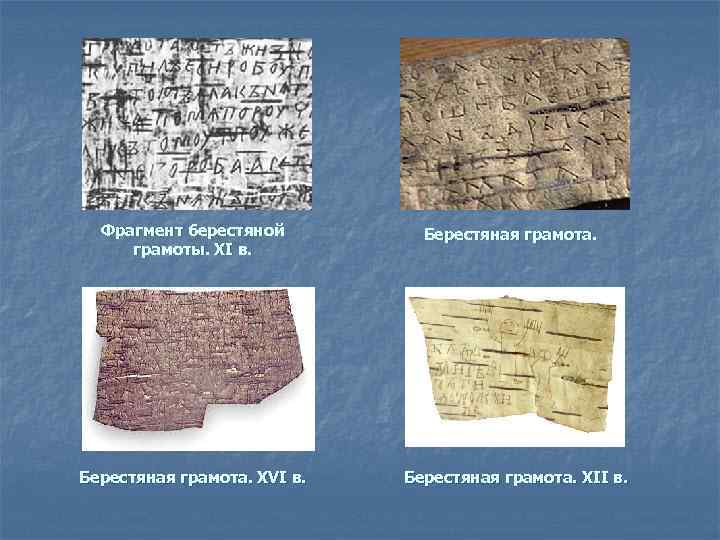 Фрагмент берестяной грамоты. XI в. Берестяная грамота. XVI в. Берестяная грамота. XII в. 