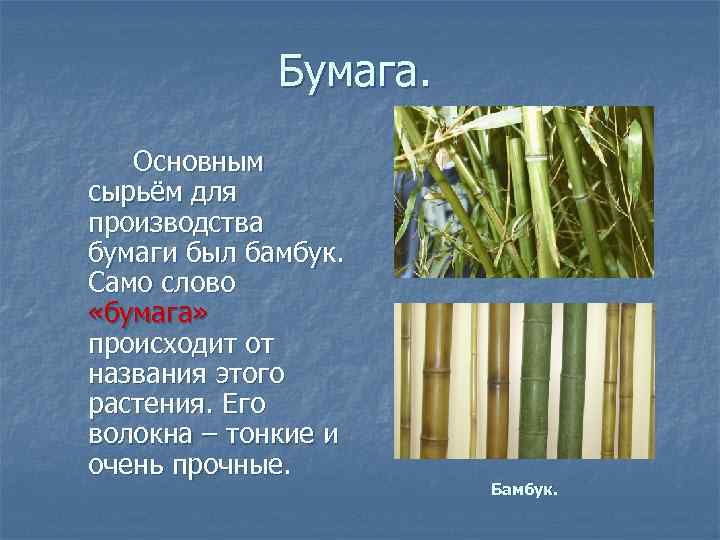 Бумага. Основным сырьём для производства бумаги был бамбук. Само слово «бумага» происходит от названия