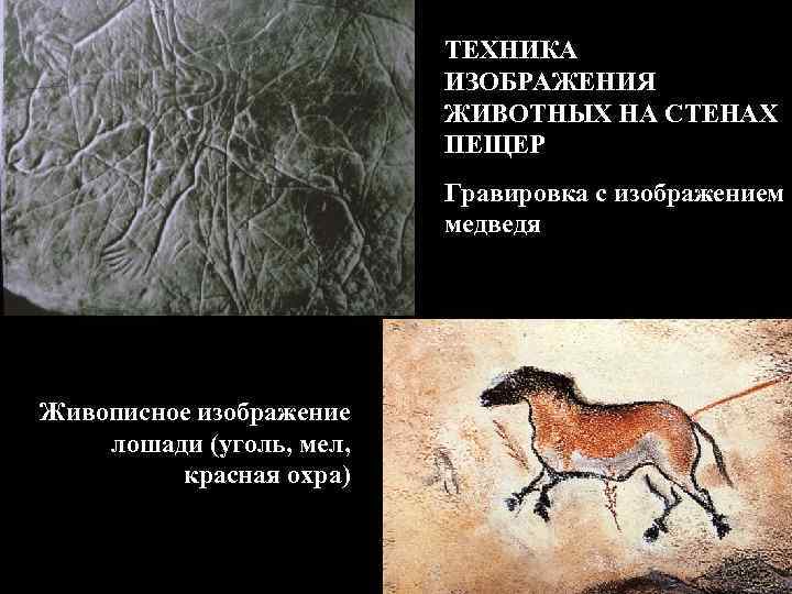 ТЕХНИКА ИЗОБРАЖЕНИЯ ЖИВОТНЫХ НА СТЕНАХ ПЕЩЕР Гравировка с изображением медведя Живописное изображение лошади (уголь,