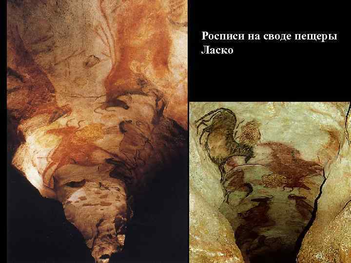 Росписи на своде пещеры Ласко 