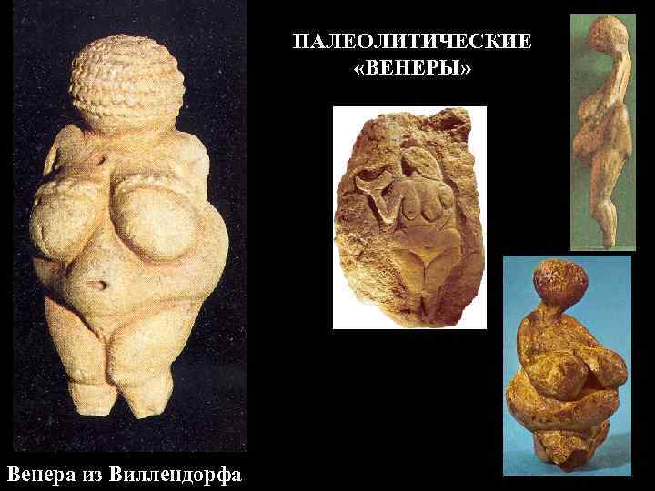 ПАЛЕОЛИТИЧЕСКИЕ «ВЕНЕРЫ» Венера из Виллендорфа 