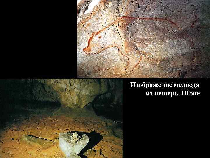 Изображение медведя из пещеры Шове 