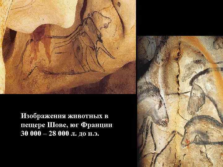 Изображения животных в пещере Шове, юг Франции 30 000 – 28 000 л. до