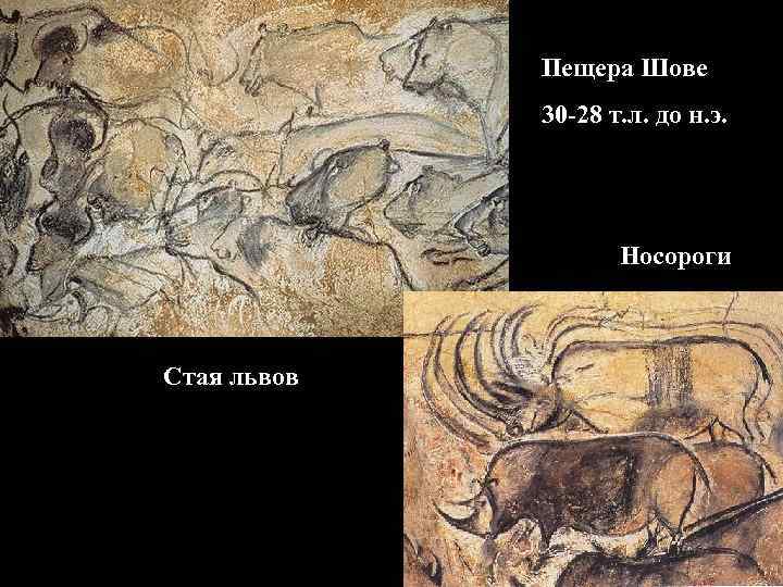 Пещера Шове 30 -28 т. л. до н. э. Носороги Стая львов 