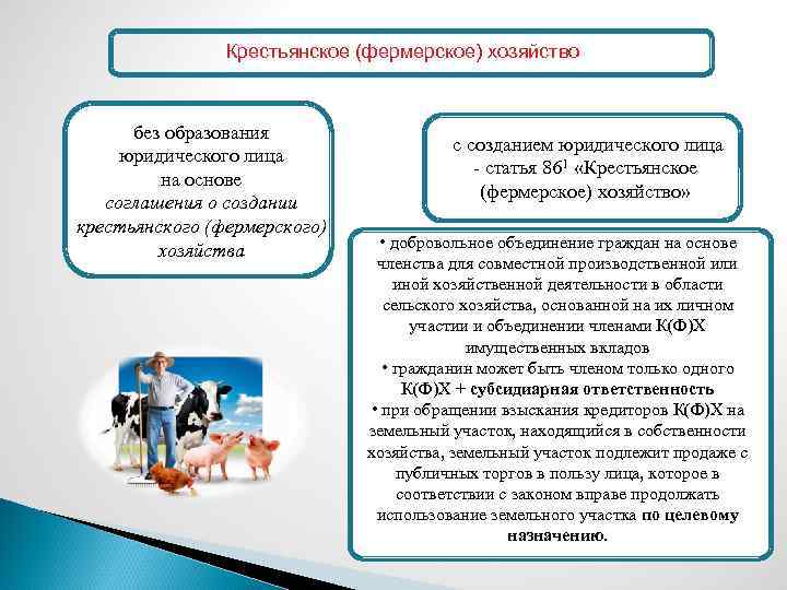 Крестьянское (фермерское) хозяйство без образования юридического лица на основе соглашения о создании крестьянского (фермерского)