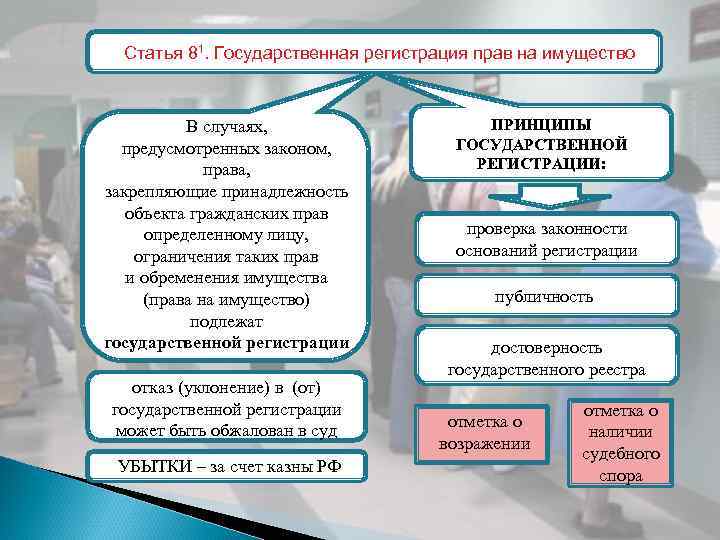 Статья 81. Государственная регистрация прав на имущество В случаях, предусмотренных законом, права, закрепляющие принадлежность