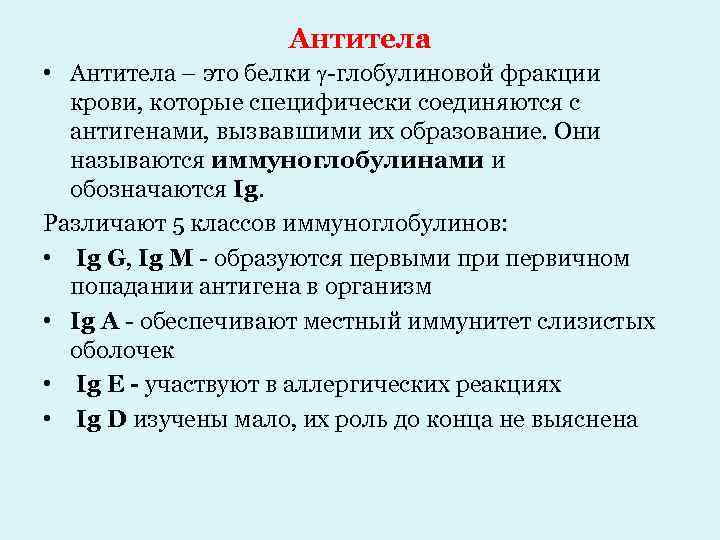 Антитела • Антитела – это белки -глобулиновой фракции крови, которые специфически соединяются с антигенами,