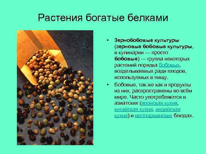 Растения богатые белками • • Зернобобовые культуры (зерновые бобовые культуры, в кулинарии — просто