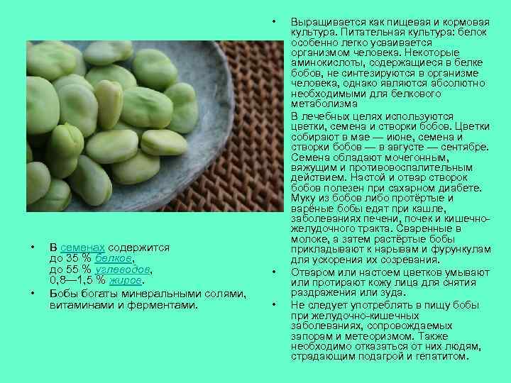  • • В семенах содержится до 35 % белков, до 55 % углеводов,