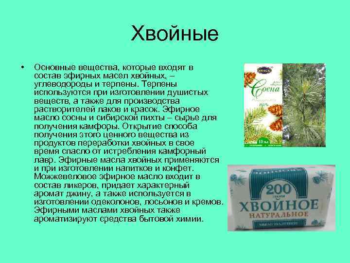 Хвойные • Основные вещества, которые входят в состав эфирных масел хвойных, – углеводороды и