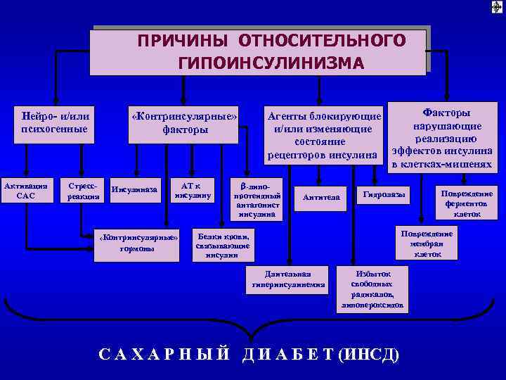 ПРИЧИНЫ ОТНОСИТЕЛЬНОГО ГИПОИНСУЛИНИЗМА Нейро- и/или психогенные Активация САС «Контринсулярные» факторы Стрессреакция Инсулиназа АТ к