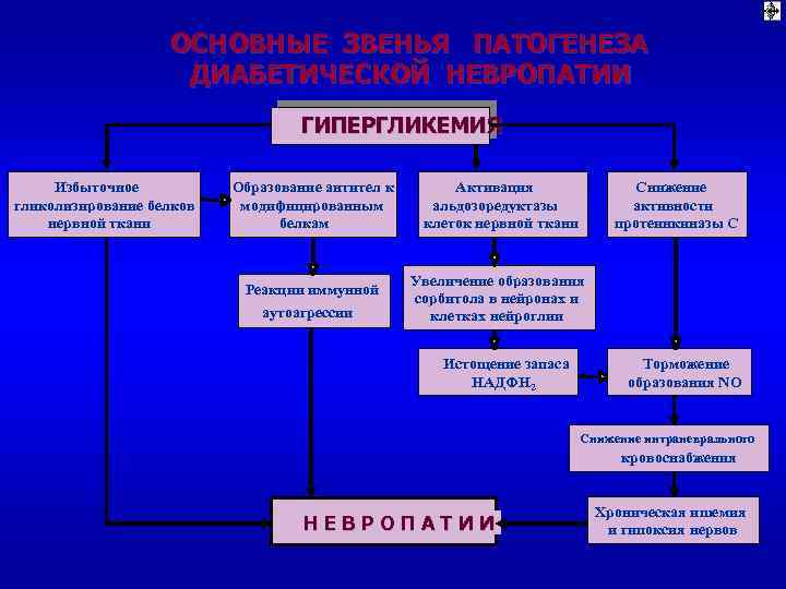 ОСНОВНЫЕ ЗВЕНЬЯ ПАТОГЕНЕЗА ДИАБЕТИЧЕСКОЙ НЕВРОПАТИИ ГИПЕРГЛИКЕМИЯ Избыточное гликолизирование белков нервной ткани Образование антител к