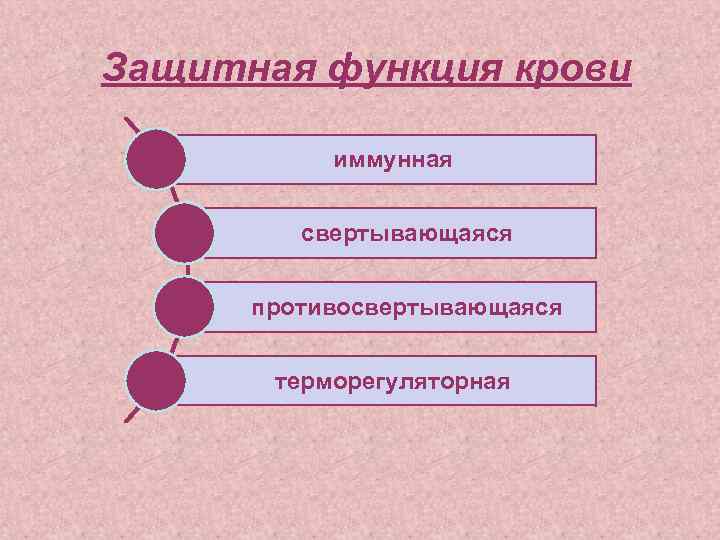 Защитная функция крови иммунная свертывающаяся противосвертывающаяся терморегуляторная 